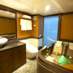 Emotion Cruise Bathroom