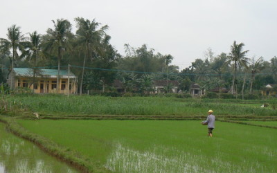 Hoi An - My Lai History and My Son Holly land