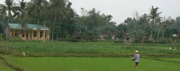 Hoi An - My Lai History and My Son Holly land