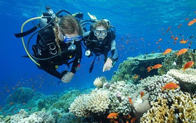 Vietnam diving tours