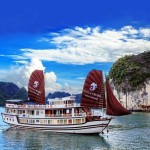 Viola Cruise Halong bay