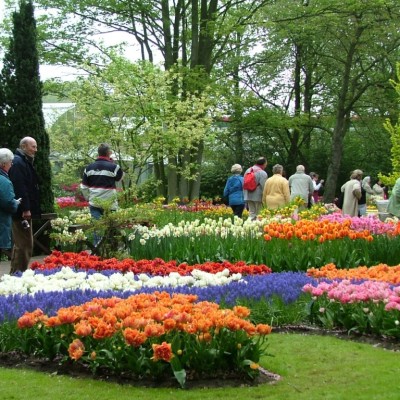 Da Lat Flower garden