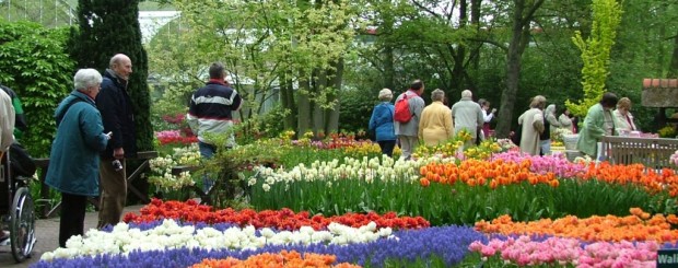 Da Lat Flower garden