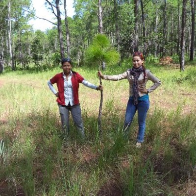 kirirom national park trekking tour